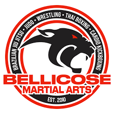 Image result for Bully Me Now Mixed Martial Arts