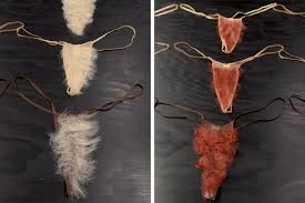 Image result for schamhaar