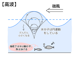 Image result for 高潮 津波 別物