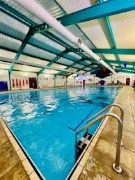 Image result for York University Pool Club