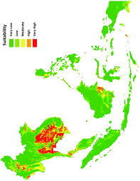 Attēlu rezultāti vaicājumam “Diderma hemisphaericum stalked”