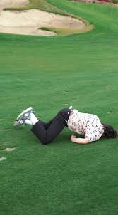 Image result for Cartwheels Gc