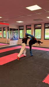 Image result for United Sport Karate