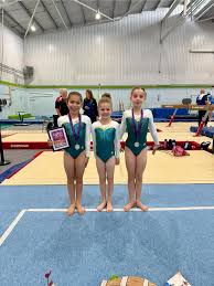 Image result for Exeter Gymnastics Club