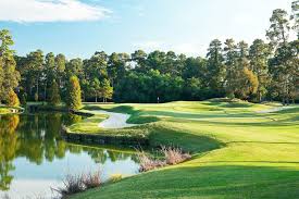 Image result for Lower Kingswood Flat Green Bowls Club