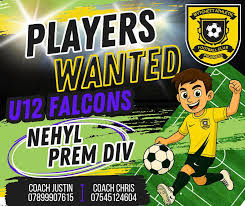 Image result for Mytchett Centre Football Club