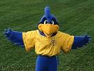 Mascots « Here 2 Play