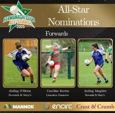 Image result for Lisnaskea Emmetts Gfc