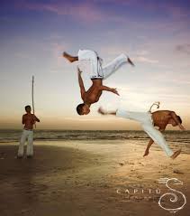 Image result for Brazilian-martial arts