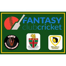 Image result for Harlow Cricket Club