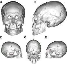 Image result for elongated skulls