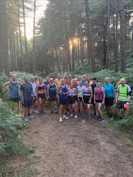 Image result for Ampthill and Flitwick Flyers