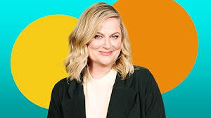 Image result for Bugaboo Cameleon Amy Poehler