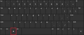 Image result for Windows key