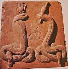 Image result for Reptilian egypt