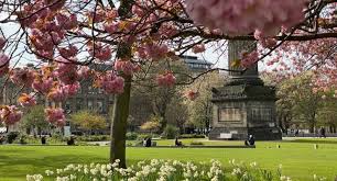Image result for Genbukan Edinburgh
