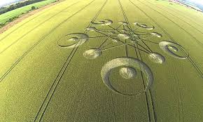 Image result for crop circles