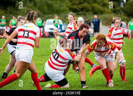 Image result for Bideford Rugby Football Club