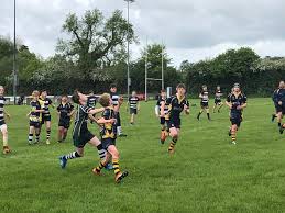 Image result for Worcester Rugby Football Club
