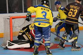 Image result for Llantwit Lions