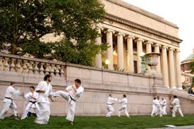 Image result for Caversham Karate Club SSKA