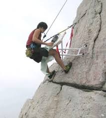 Image result for extreme ironing