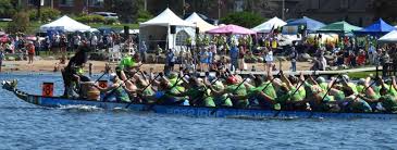 Image result for Wam Dragon Boat Racing Team