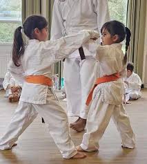 Image result for Alleyn School Of Japanese Karate