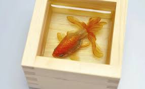 Image result for 金魚