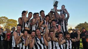 Image result for Ledbury Magpies Netball Club