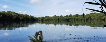 Image result for Crowthorne Angling