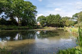 Image result for Penketh & Old Hall Angling Society