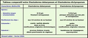 Attēlu rezultāti vaicājumam “Clastoderma debaryanum spores”