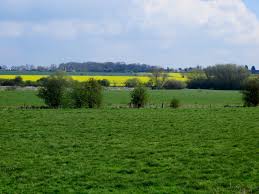 Image result for Nassington Cc