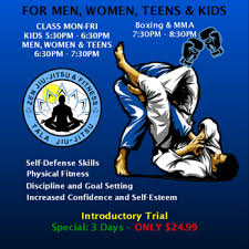 Image result for Horndean Zen Judo Club