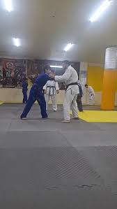 Image result for Goshin Ryu Atemi JuJitsu
