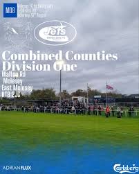 Image result for Oxhey Football Club