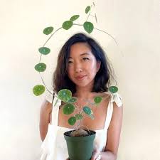 Attēlu rezultāti vaicājumam “Trichia erecta”