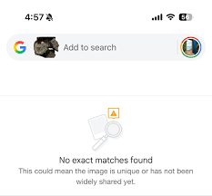 Attēlu rezultāti vaicājumam “Badhamia dubia spores”