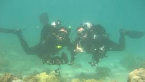 Image result for Seabug Divers