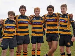 Image result for Ely Rugby Union Football Club