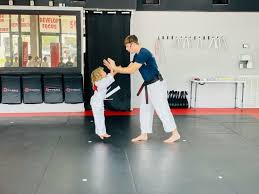 Image result for Bushido Academy Of Martial Arts (Bama)