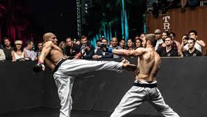 Image result for Uechi-Ryu Karate Do, Hedge End