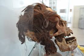 Image result for elongated skulls