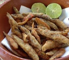 Attēlu rezultāti vaicājumam “Charales”