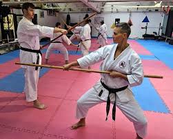 Image result for Plymouth Karate Club Kyokai