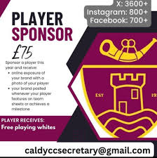 Image result for Caldy Cricket Club