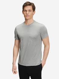 Image result for Мужская футболка Прямые линии