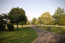 Image result for Elthorne Cricket Club