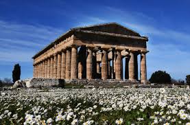 Image result for paestum